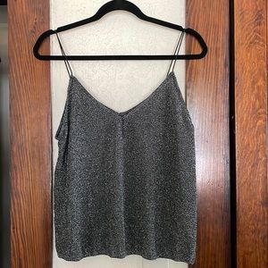 Express Shimmer Top